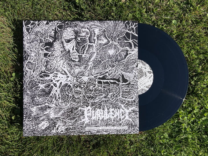 Transcendent Unveiling of Dimensions | Purulency