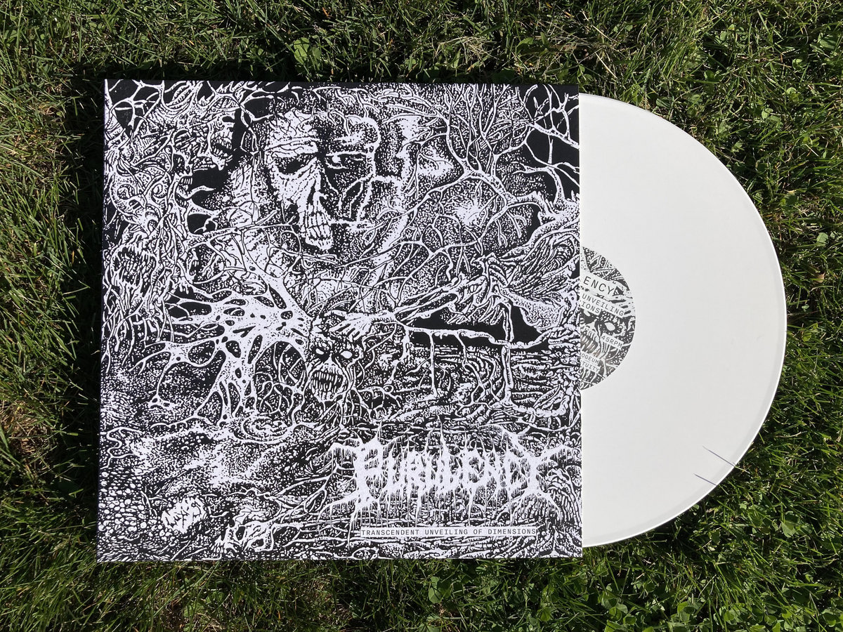 Transcendent Unveiling of Dimensions | Purulency