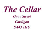 A Band Named Brian Eco Tour Live At The Cellar Cardigan Saturday 8th June '24 photo 