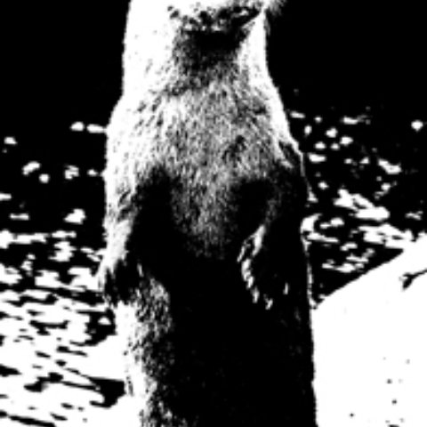 My Family Found me on Only Fans and Chaturbate | Ellie Rae Black