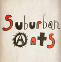 Suburban Ants image