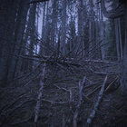 digital_iceage thumbnail