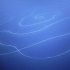 lexcd thumbnail
