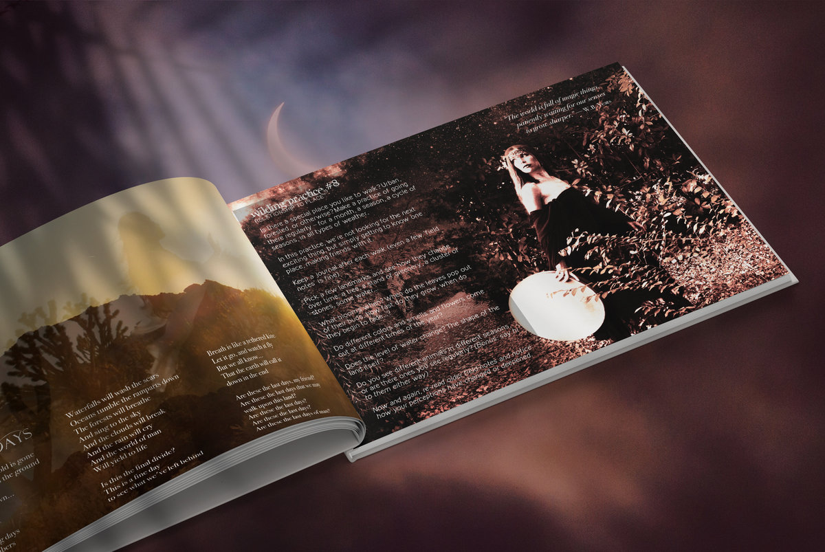 Rewilding Field Guide Ariana Saraha & Flight Behavior