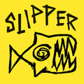 SLIPPER image