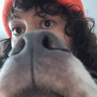 totalhorsefreak thumbnail