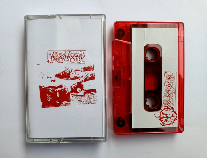 Placenta Corporation © | Placenta