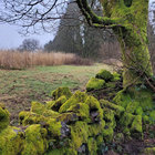 DavidBakersHill thumbnail