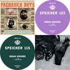 We Are Really Sorry | Pachanga Boys