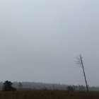 Waldmark thumbnail