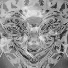 tkvchrn thumbnail