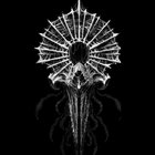 Blackened Soundscape thumbnail