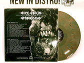 12"LP | Sick Sinus Syndrome | Rotten to the Core | Limited Edition Colored Lp | Distro Item photo 