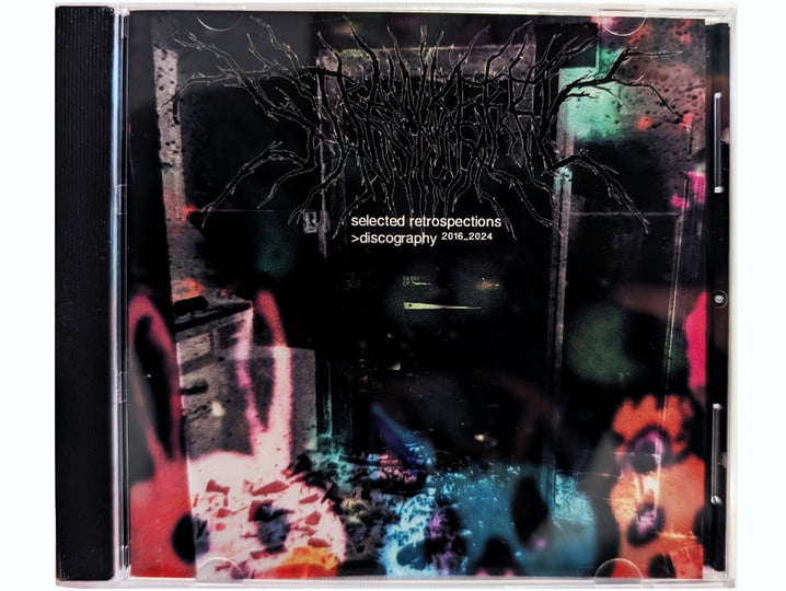 Selected Retrospections (Discography 2016-2024) | Strawberry Hospital