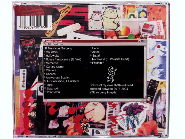 Selected Retrospections (Discography 2016-2024) | Strawberry Hospital