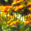 DRFTR image