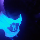 dantek94 thumbnail