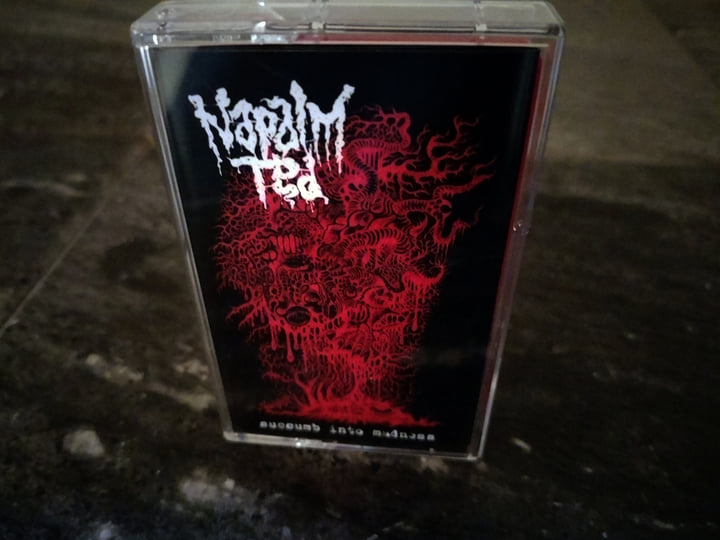 Succumb Into Madness | Napalm Ted