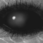 eyes_of_no_one thumbnail