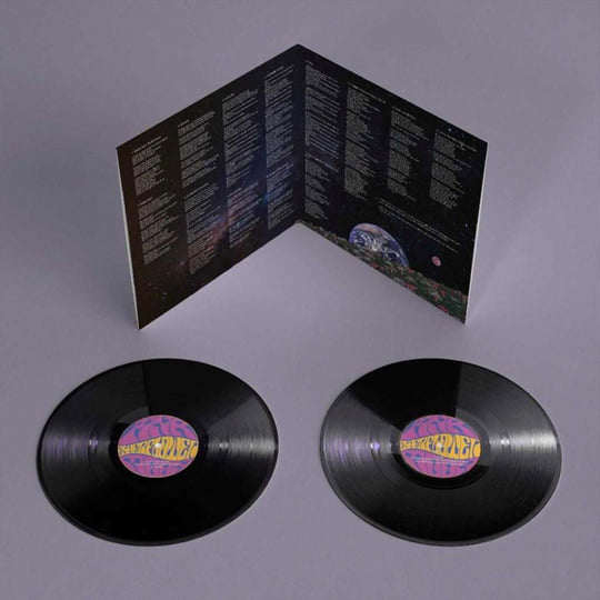 PINK COMETS ROUTE35 CD 帯付き The Long Strange Winding Road To Everywhere | Pink Elderflower