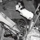 joshterreal thumbnail