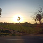 sankofa thumbnail