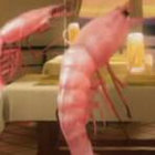 shrimplythebest thumbnail
