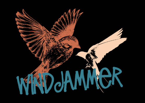 Migratory Bird | windjammer