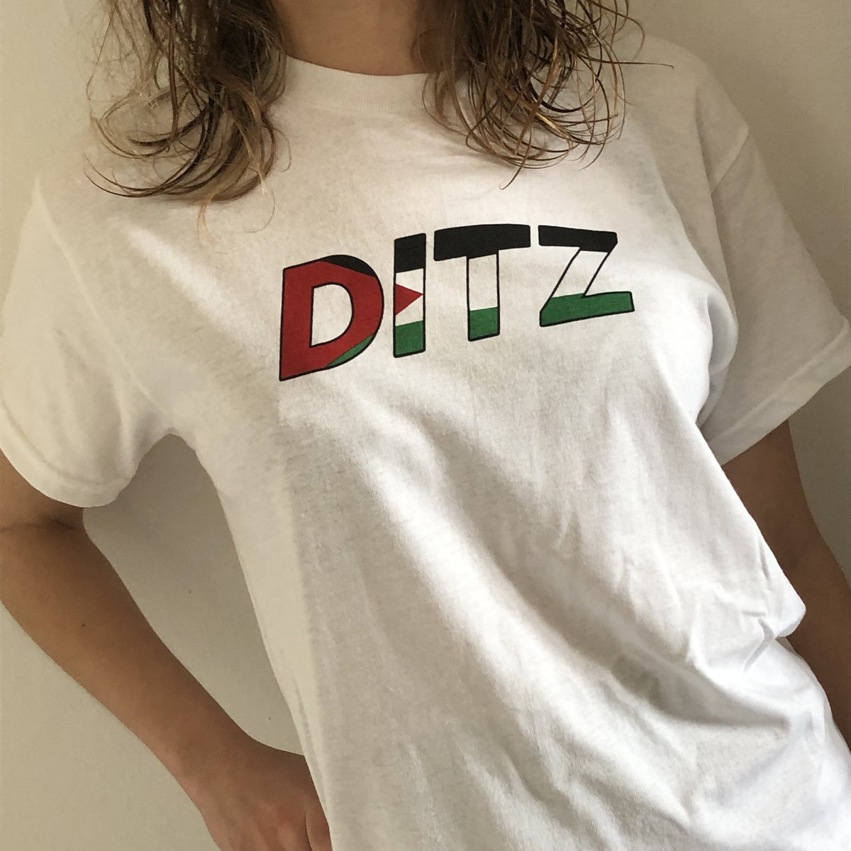 DITZ Palestine Logo T-Shirt | DITZ