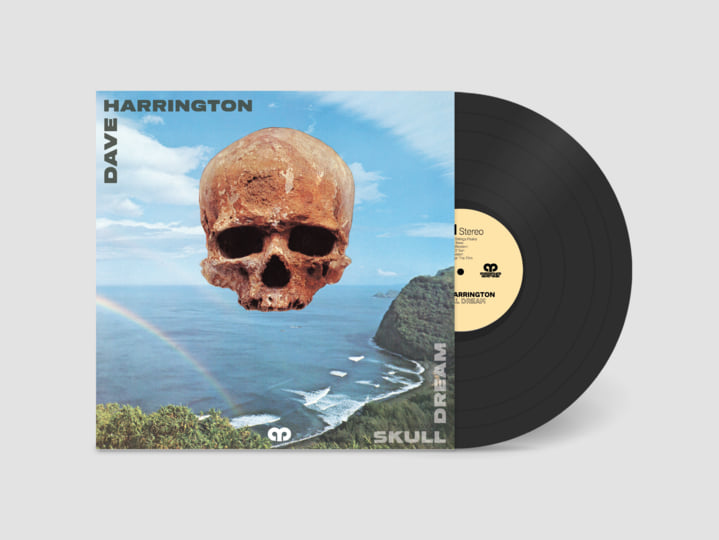 THE SKULL DISK NATURE TONES × DAMNGOOD THE SKULL DISK NATURE TONES × DAMNGOOD Damien Hirst