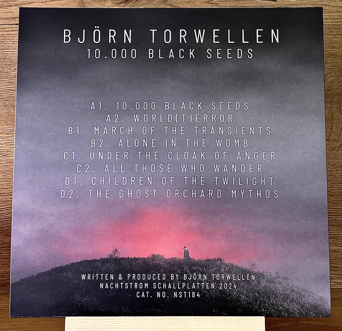 10.000 Black Seeds (Album) | Björn Torwellen | Nachtstrom