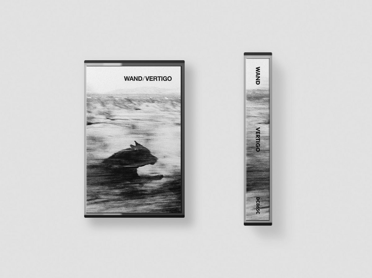 Vertigo wand