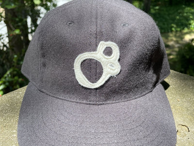 Three Lobed Recordings logo hat by Ebbets Field Flannels (Charcoal 