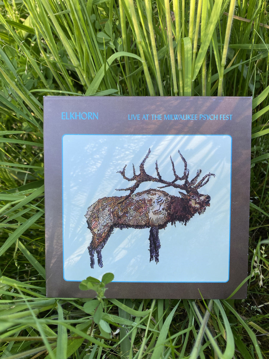 Milwaukee Psych Fest 2025 