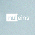 Nulleins Records image