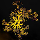 llnorill thumbnail