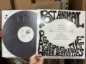 POST ANIMAL レコード Post Animal - Iron | Polyvinyl Record Co.