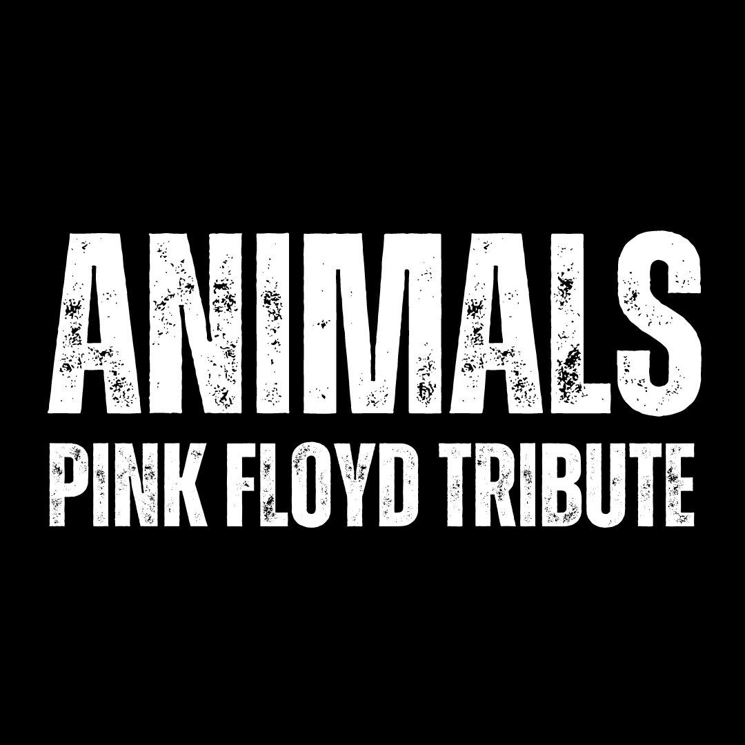 The Wall - Live 10-28-2022 | Animals Pink Floyd Tribute | Animals