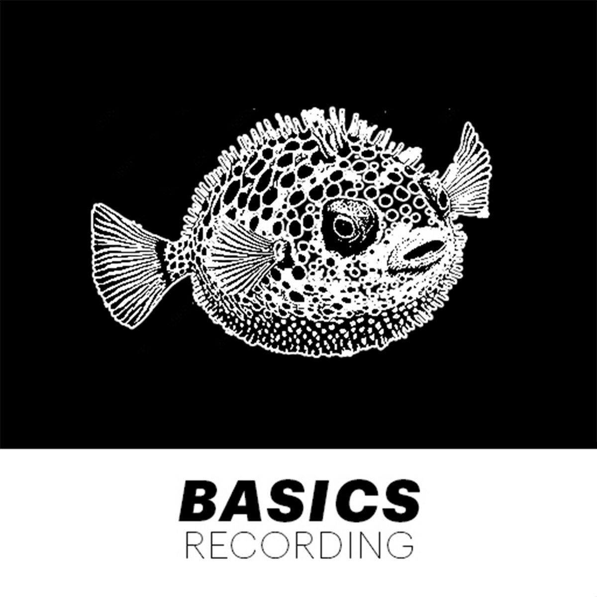Eroma EP XXXY Basics Recording