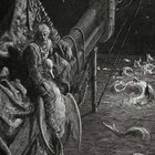 zanoreus thumbnail