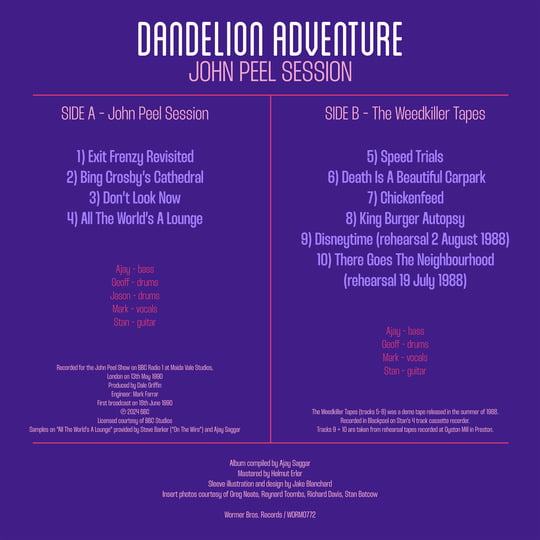 John Peel Session | Dandelion Adventure