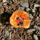 mahaddon thumbnail