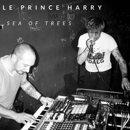 A Long Way Down | Le Prince Harry | Teenage Menopause Rds