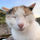 Raine thumbnail