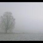 freewheeling  thumbnail