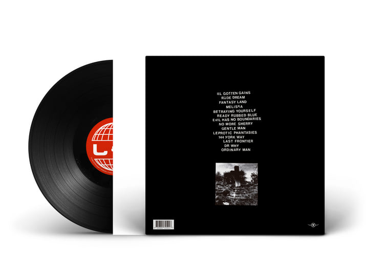 Fantasy World | Lilacs & Champagne