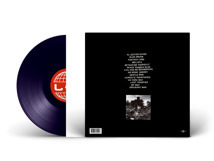 Fantasy World | Lilacs & Champagne