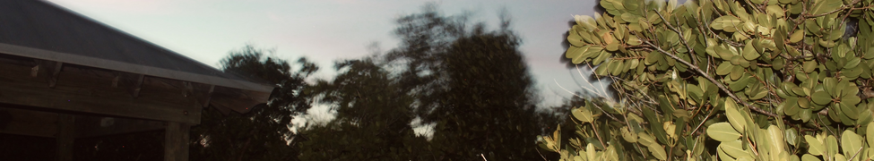 Deloyd Elze — Photo