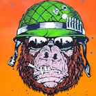 Nobby..... thumbnail