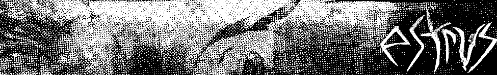 estrvs — Photo
